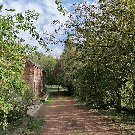 Les Rues-des-VignesLa Chaumiere Du Tordoir住宿加早餐旅馆 外观 照片